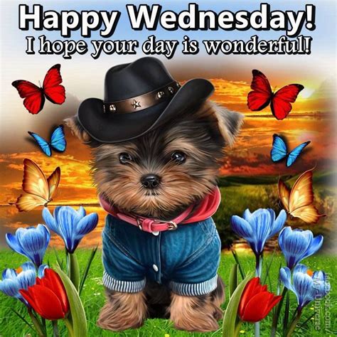 Happy wednesday animals - Sep 13, 2023 - Welcome! Please pin freely. See more ideas about happy wednesday, wednesday greetings, wednesday. 